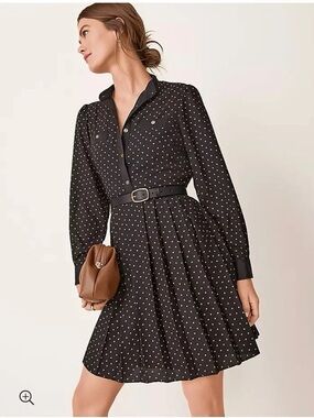 Ann Taylor Belted Shirtdress 6